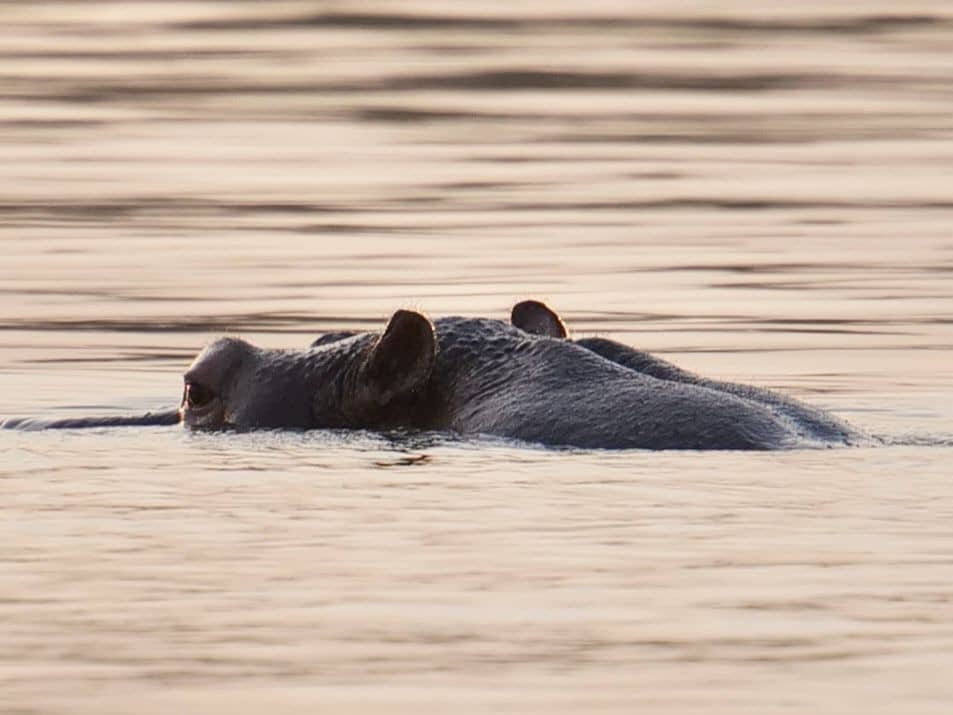 gerogetown-2-days-tour-img-1