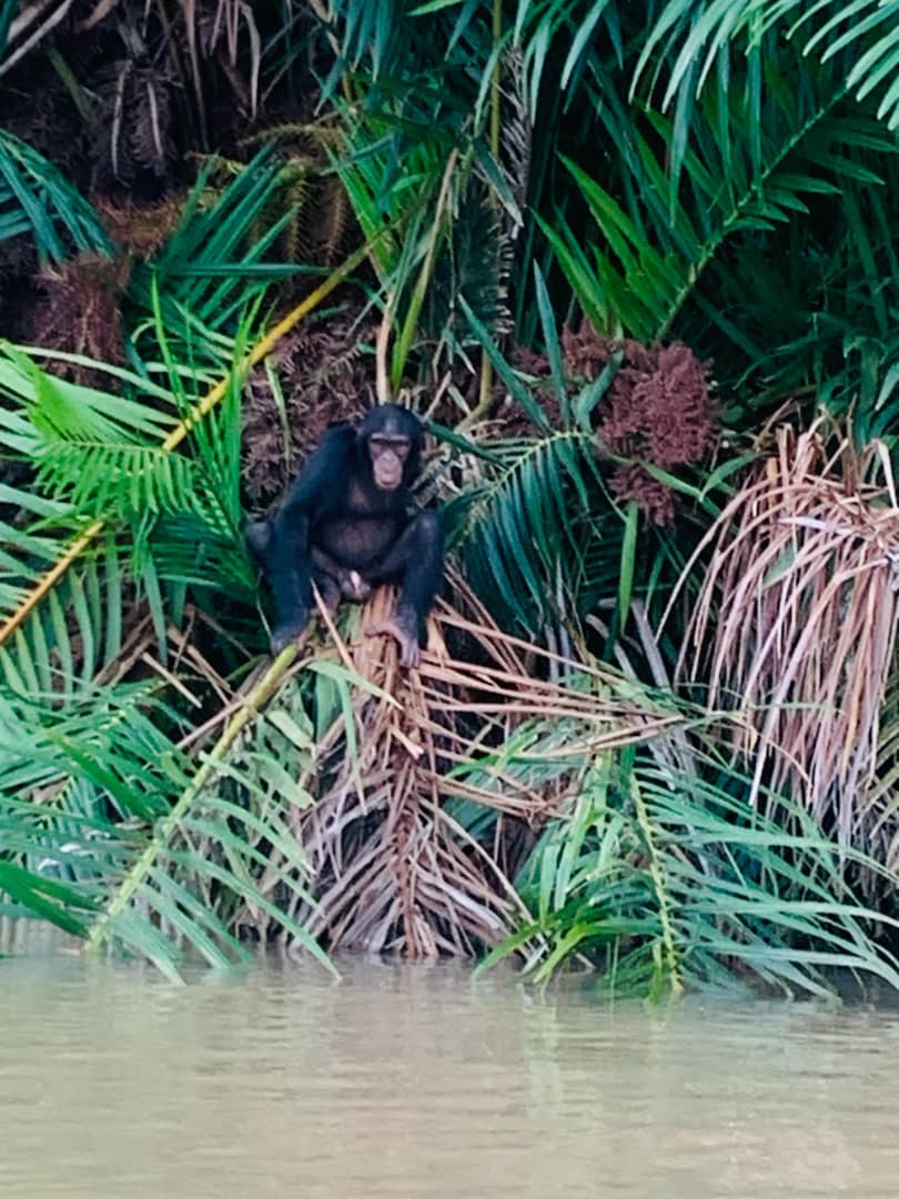 gerogetown-2-days-tour-img-4